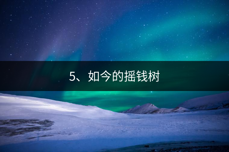 5、如今的搖錢樹