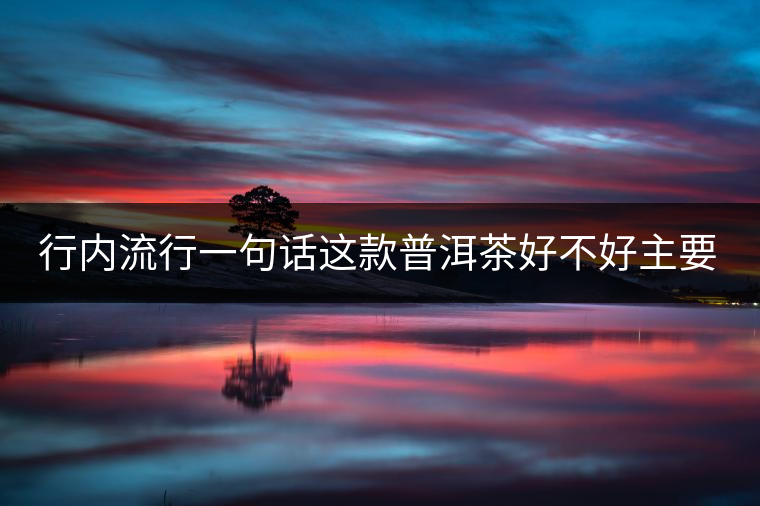 行內(nèi)流行一句話這款普洱茶好不好主要還看尾水，雖然比較片面但是也有一定道理。