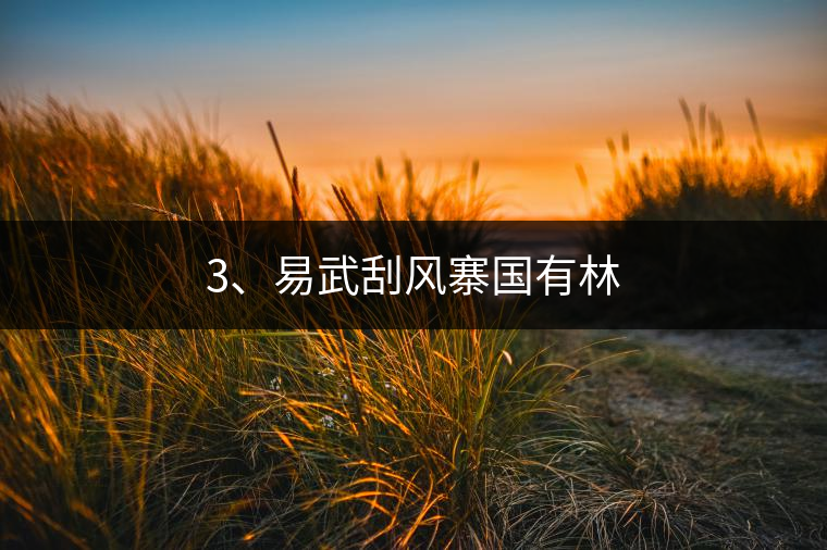 3、易武刮風(fēng)寨國有林
