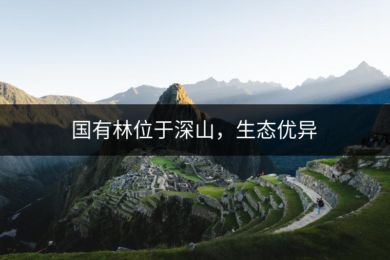 國有林位于深山，生態(tài)優(yōu)異