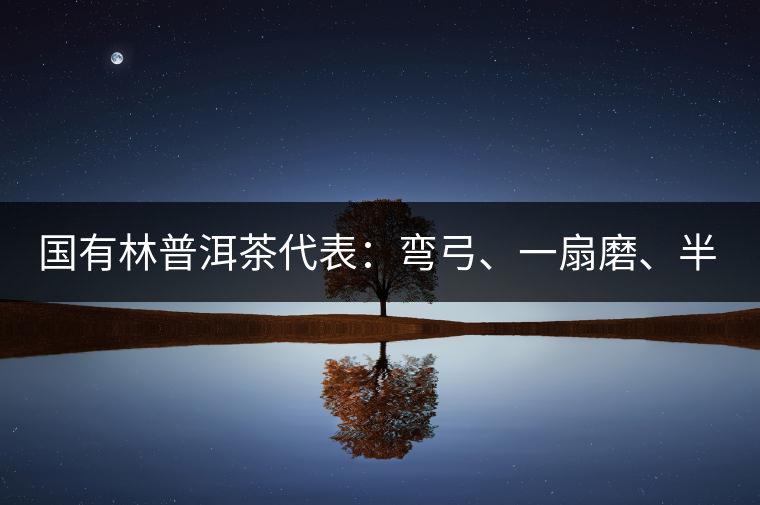 國有林普洱茶代表：彎弓、一扇磨、半坡老寨