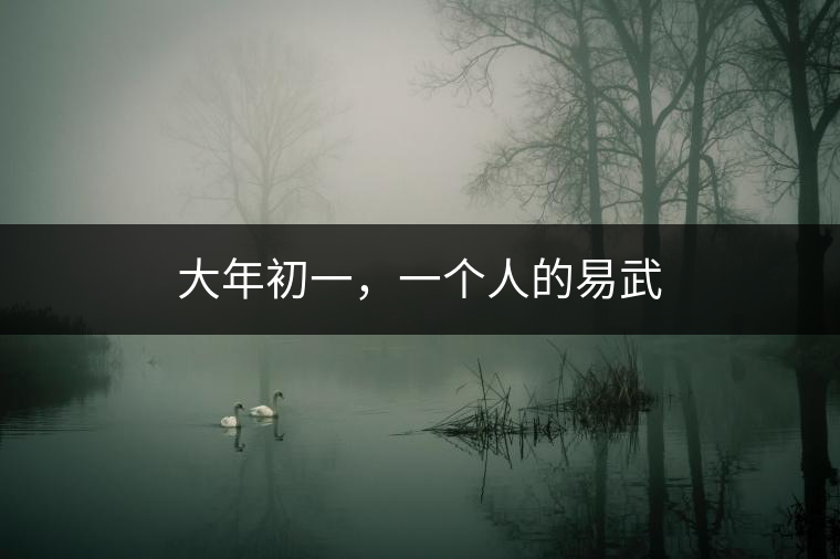 大年初一，一個人的易武