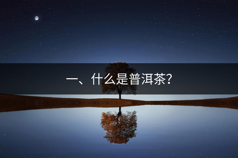 一、什么是普洱茶？