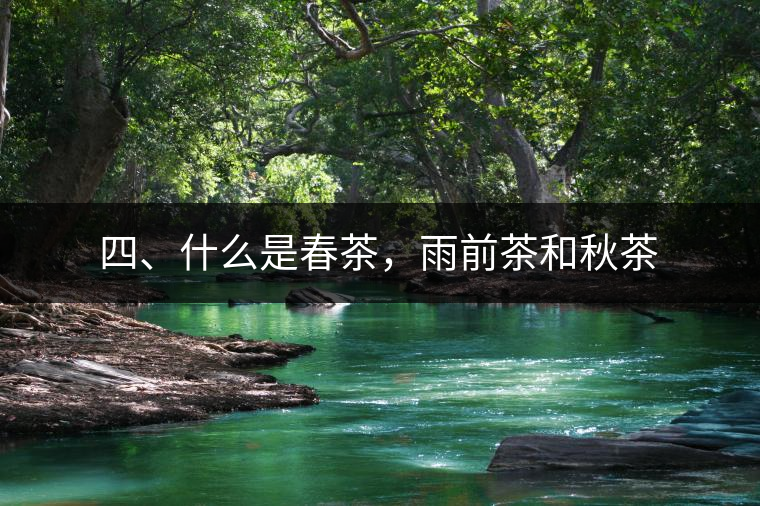 四、什么是春茶，雨前茶和秋茶