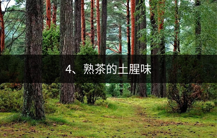 4、熟茶的土腥味