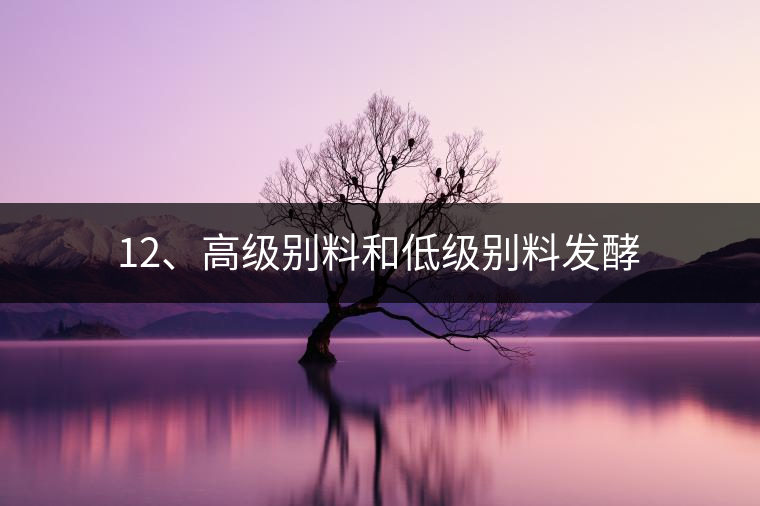12、高級(jí)別料和低級(jí)別料發(fā)酵