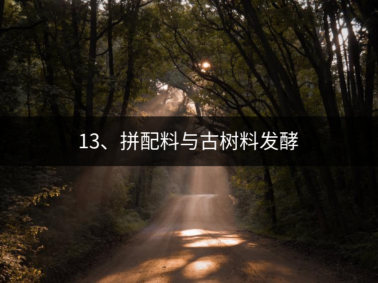 13、拼配料與古樹(shù)料發(fā)酵