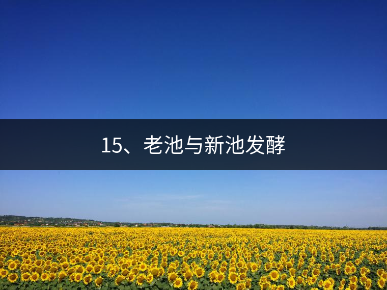 15、老池與新池發(fā)酵