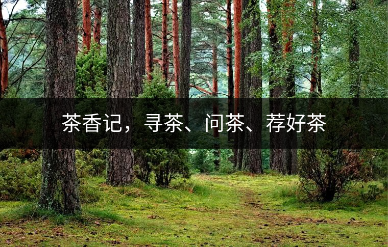 茶香記，尋茶、問茶、薦好茶