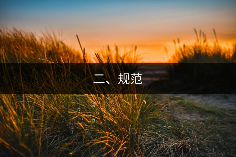 二、規(guī)范