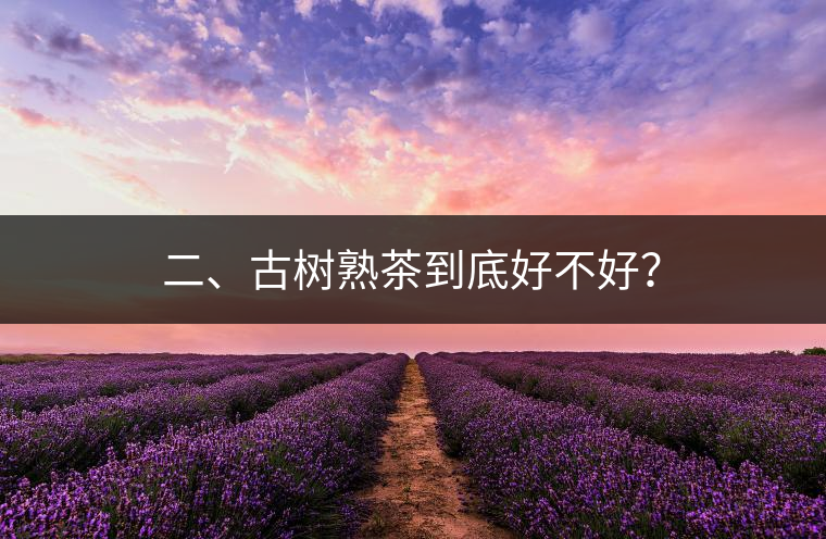 二、古樹熟茶到底好不好？
