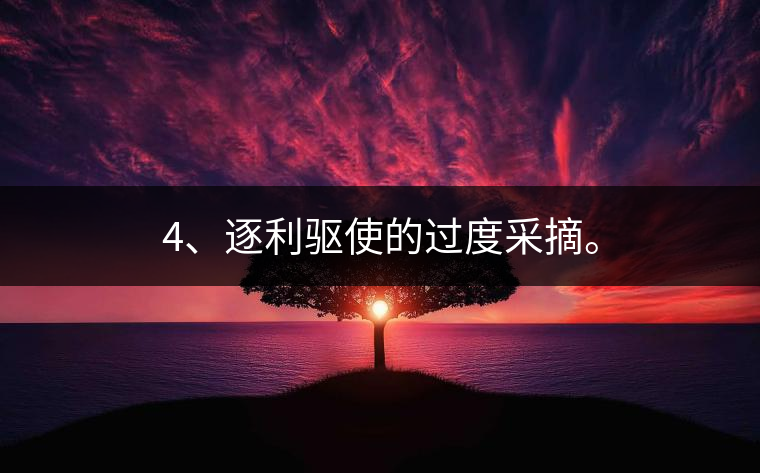 4、逐利驅使的過度采摘。