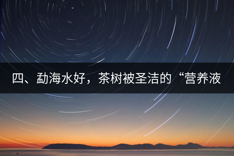 四、勐海水好，茶樹被圣潔的“營養(yǎng)液”所滋養(yǎng)