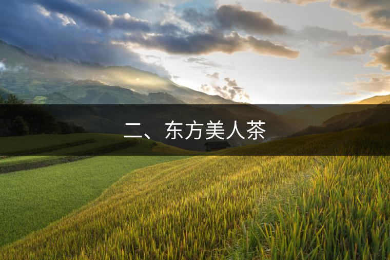二、東方美人茶