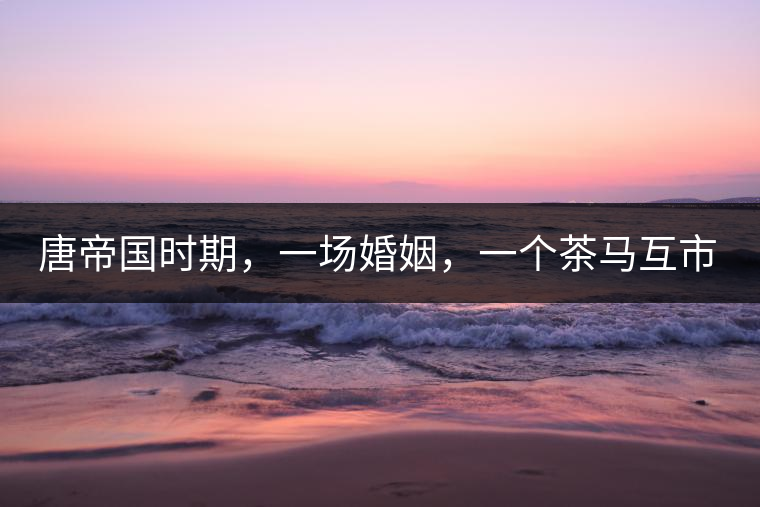 唐帝國時期，一場婚姻，一個茶馬互市，讓這里結束了漢藏對峙。宋代南茶北，西北茶馬司設立，因茶而改變的生活日益凸顯。元代八思巴與忽必烈在這一區(qū)域結盟，為蒙藏兩大民族交往鋪好通衢大道，明代俺答汗與達賴在山海之間追思各自先人，青海人宗喀巴創(chuàng)建的黃教通過蒙、藏兩大領袖的推廣，締造了影響至今的格局。大清經過康、雍、乾三代勵精圖治，滿、藏、蒙各自龐大的疆域第一次完整地統(tǒng)轄在中央帝國的版圖下。