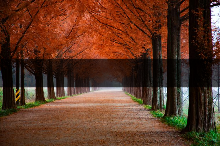 這樣的茶葉邊疆文化，也許是明代大學者解縉最樂意見到的。他曾說，中原最好的東西就是茶，而番人最好的就是馬。他贊同明廷茶馬互市的國策：茶之于夷人，如同中國之酒醴，因為茶馬貿易，許多夷人也開始學習中國的知識，對中國也有了向慕之心，那么茶的作用就很顯然，茶有著“夷夏之交，義利之辨，寅賓尚忠信而篤敬，河州固唐虞三代之邦也。”
茶不僅僅是一種飲品，還有其他。茶作為媒介，體現(xiàn)了觀念的變化。如今，隨著茶的傳播，各族人民有了更深入往來，通過貿易、文化、旅游等等。
陳渠珍從西藏抵達湟源區(qū)域時，也為這里的古風所震驚：“余皆漢番雜處。風俗婦女尚餞足，裙下蓮步不及三寸，服飾既古，文化尤卑，鄰居為私塾，當見一生久讀不能成誦，塾師罰之跪，以草圈罩頭上，頻加籌石，令其跪誦。余見駭然?！?
?
（摘自《海峽茶道》，2013年5期）