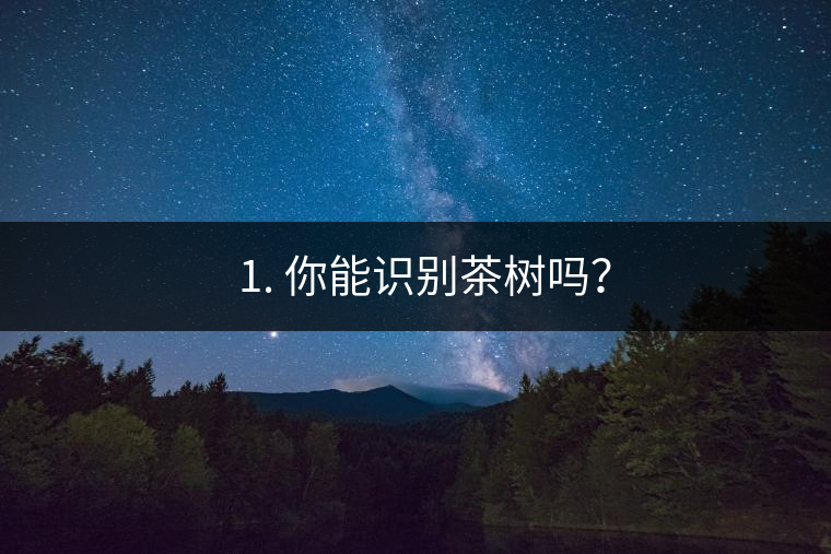 ??1. 你能識(shí)別茶樹(shù)嗎？