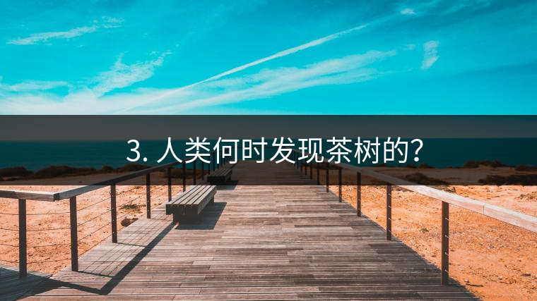 ? 3. 人類(lèi)何時(shí)發(fā)現(xiàn)茶樹(shù)的？