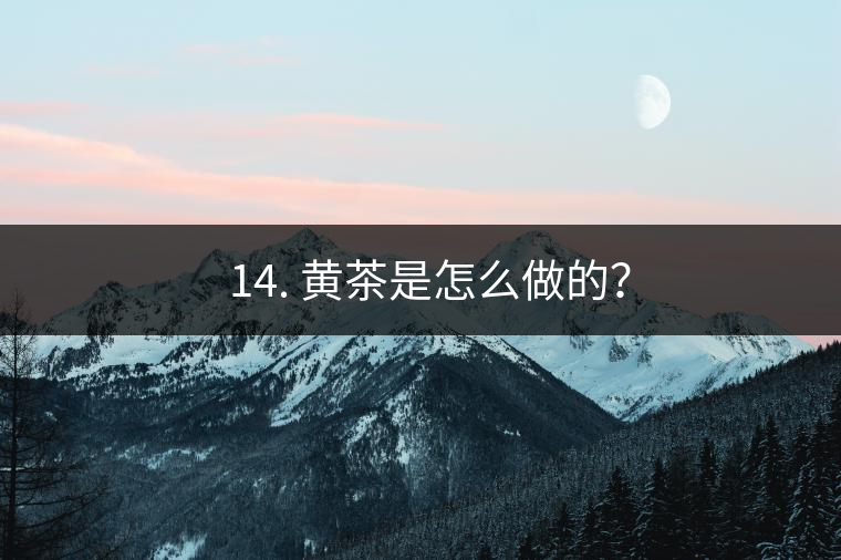 ? 14. 黃茶是怎么做的？