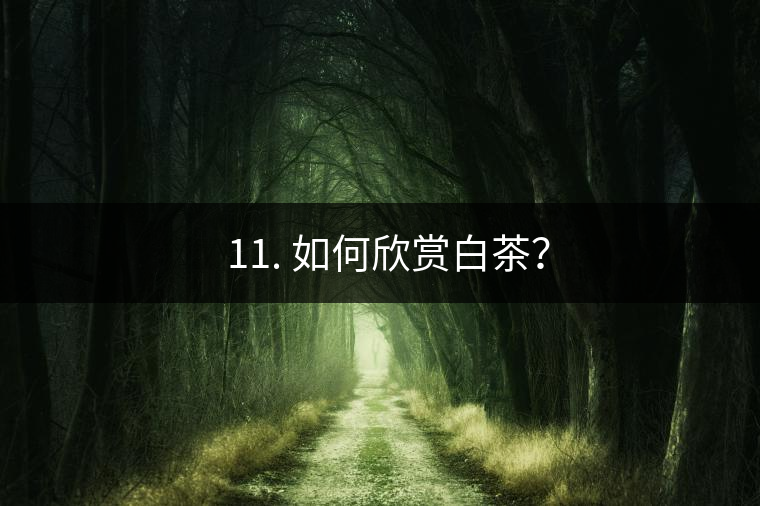 ??11. 如何欣賞白茶？