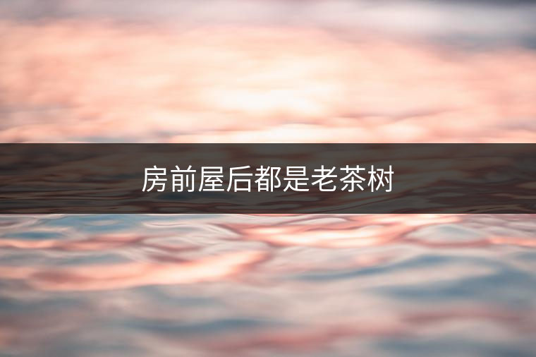 景邁傣先祖以茶為藥 景邁傣先祖以茶為藥