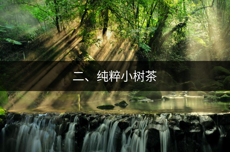 二、純粹小樹茶
