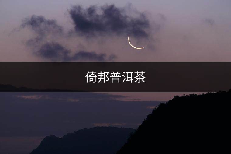 倚邦普洱茶