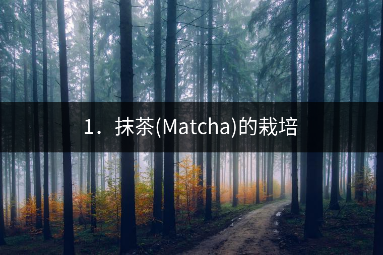 1．抹茶(Matcha)的栽培