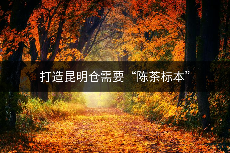 打造昆明倉需要“陳茶標(biāo)本”