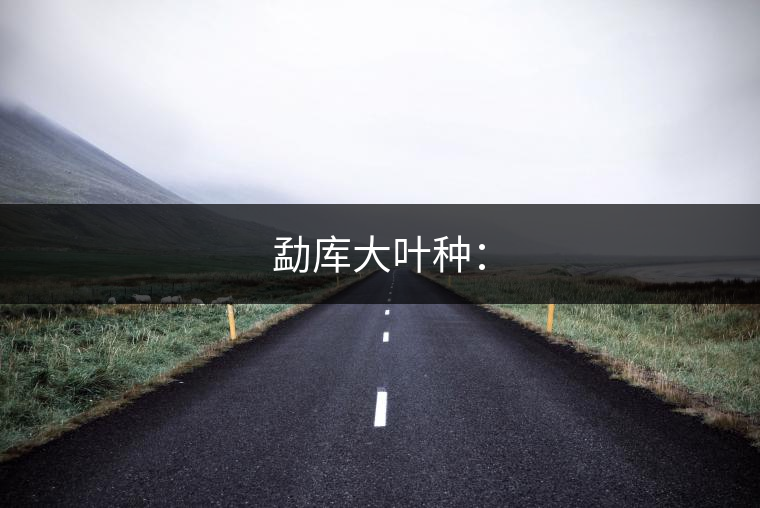 勐庫大葉種: 勐庫大葉種: