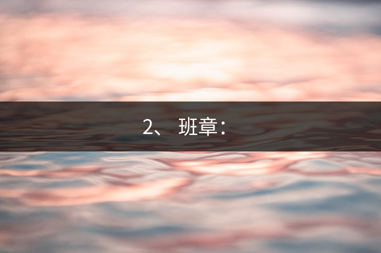 2、 班章：?