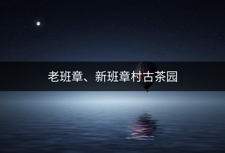 老班章、新班章村古茶園