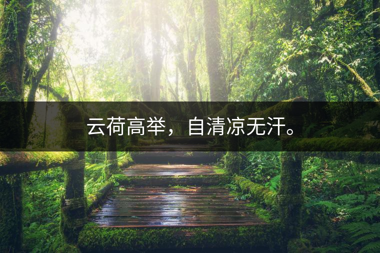 云荷高舉，自清涼無(wú)汗。