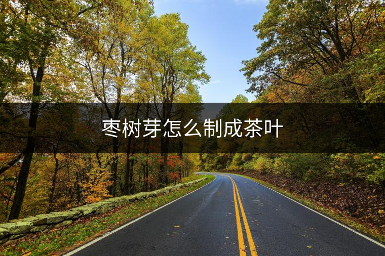 棗樹芽怎么制成茶葉