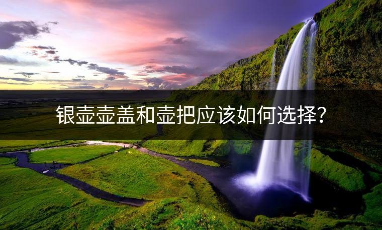 銀壺壺蓋和壺把應(yīng)該如何選擇？