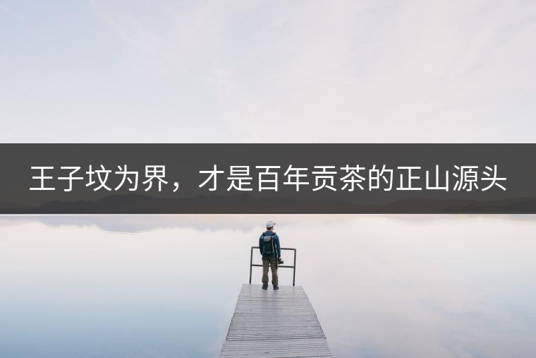 王子墳為界，才是百年貢茶的正山源頭