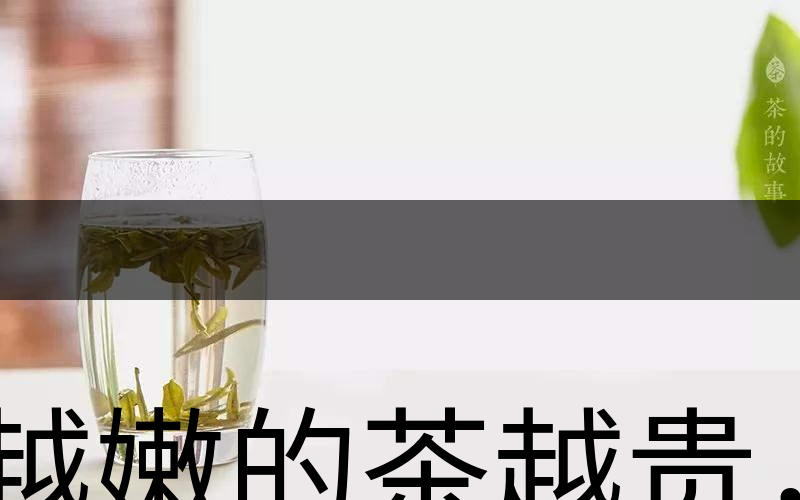 越嫩的茶越貴，但越貴的茶就越好嗎？-2
