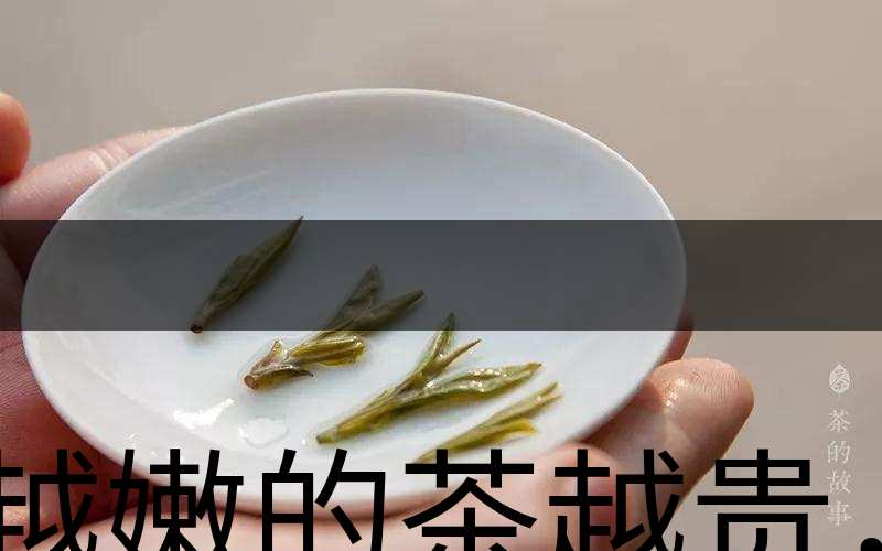 越嫩的茶越貴，但越貴的茶就越好嗎？-3