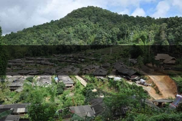 云南省瀾滄縣茶業(yè)概況簡(jiǎn)述(第四章) 云南省瀾滄縣茶業(yè)概況簡(jiǎn)述(第四章)