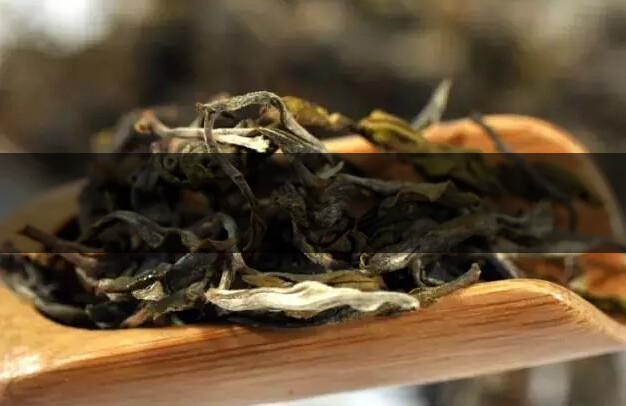 根據葉底鑒別茶葉的好壞-1-1