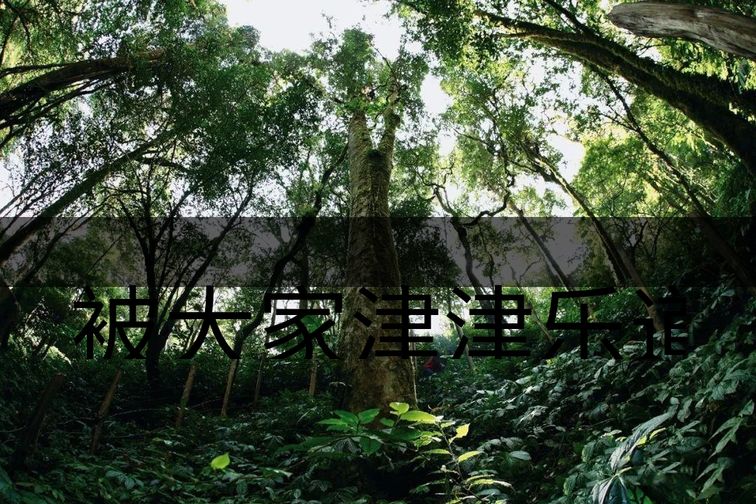 被大家津津樂道的森林茶，你知道是什么？-6-1