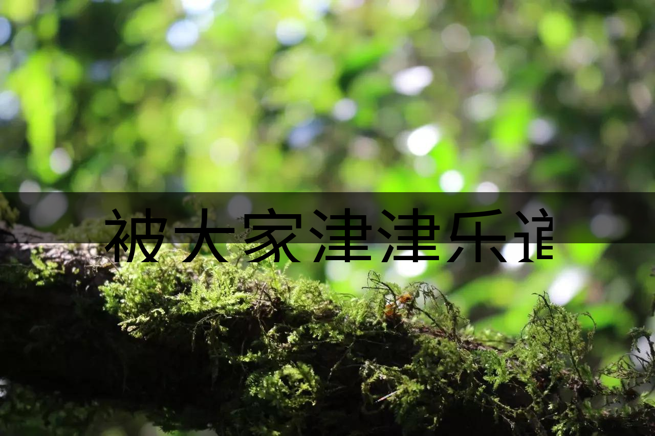 被大家津津樂道的森林茶，你知道是什么？-8-1