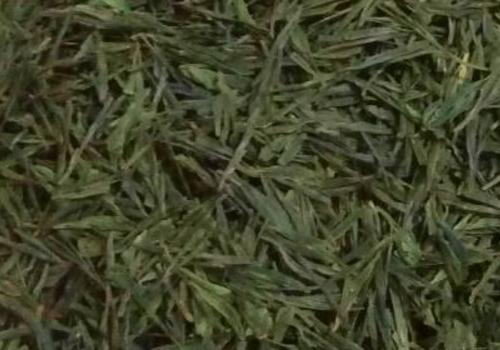 什么是海青茶？沖泡手法詳細(xì)教學(xué)！