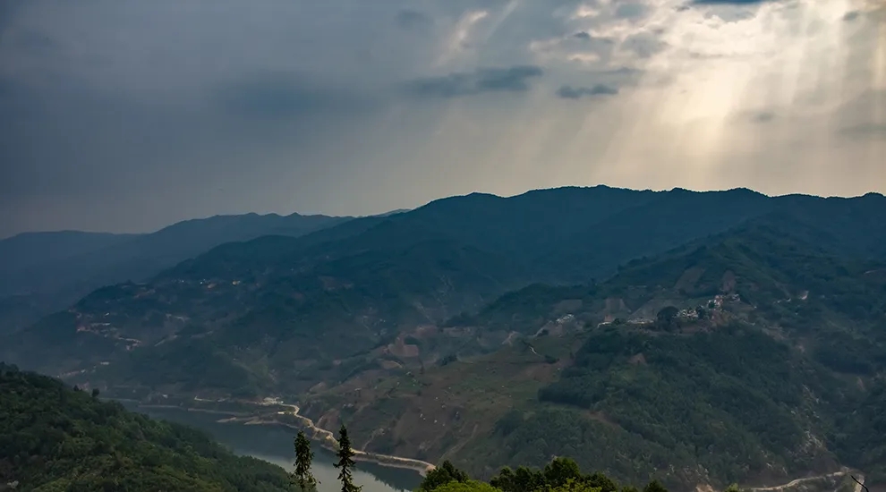 2021年磨烈：風(fēng)頭正勁的后起之秀，到底有何特點(diǎn)？