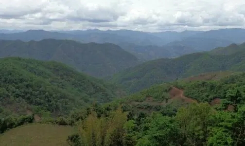 2021那罕古樹秋茶特點(diǎn)？