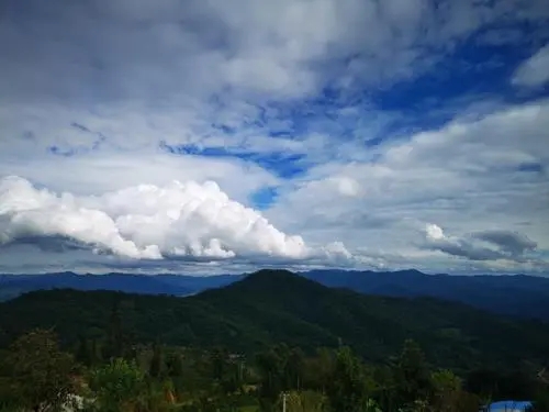 2021年那罕古樹秋茶口感？