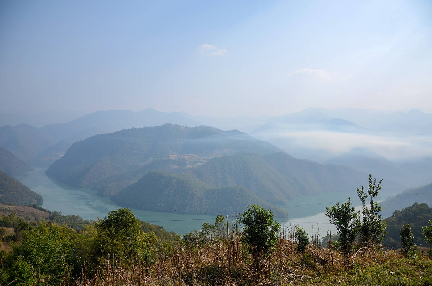 2021年白鶯山古樹秋茶，佛茶有什么魅力？