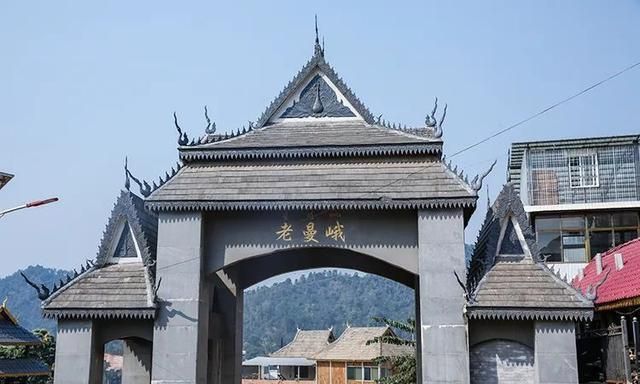 2021年老曼峨古樹秋茶特點(diǎn)？