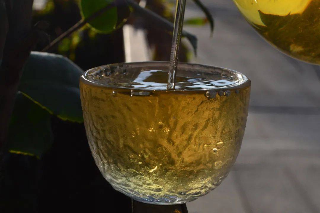 2021班章茶區(qū)壩卡竜古樹秋茶口感是什么？