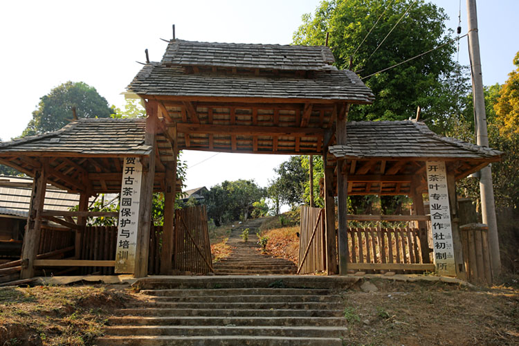 2021年賀開古樹秋茶特點(diǎn)？